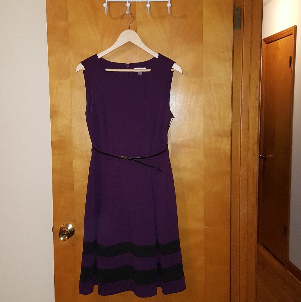 Calvin Klein plumb and black a line dress NWT